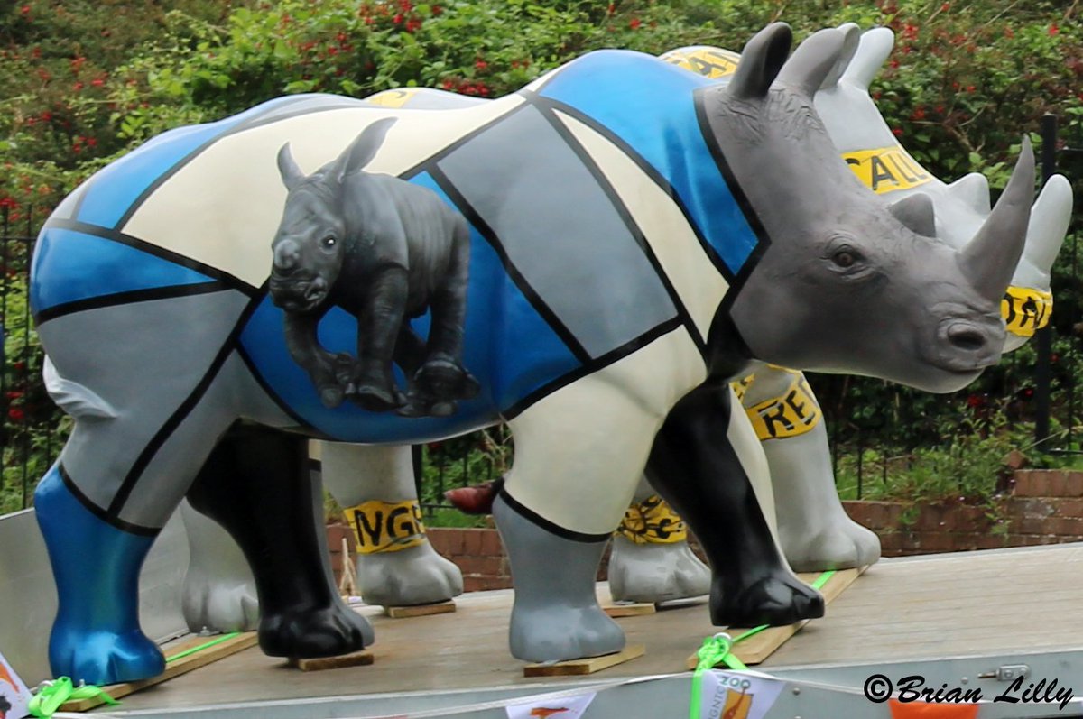 #GreatBigRhinos of the day <a href="/GlimpsesRhino/">Glimpses</a> created by <a href="/wrightoriginals/">Stuart Wright</a> sponsored by <a href="/GuildhallShops/">Guildhall Shopping</a> <a href="/GreatBigRhinos/">Great Big Rhinos</a>