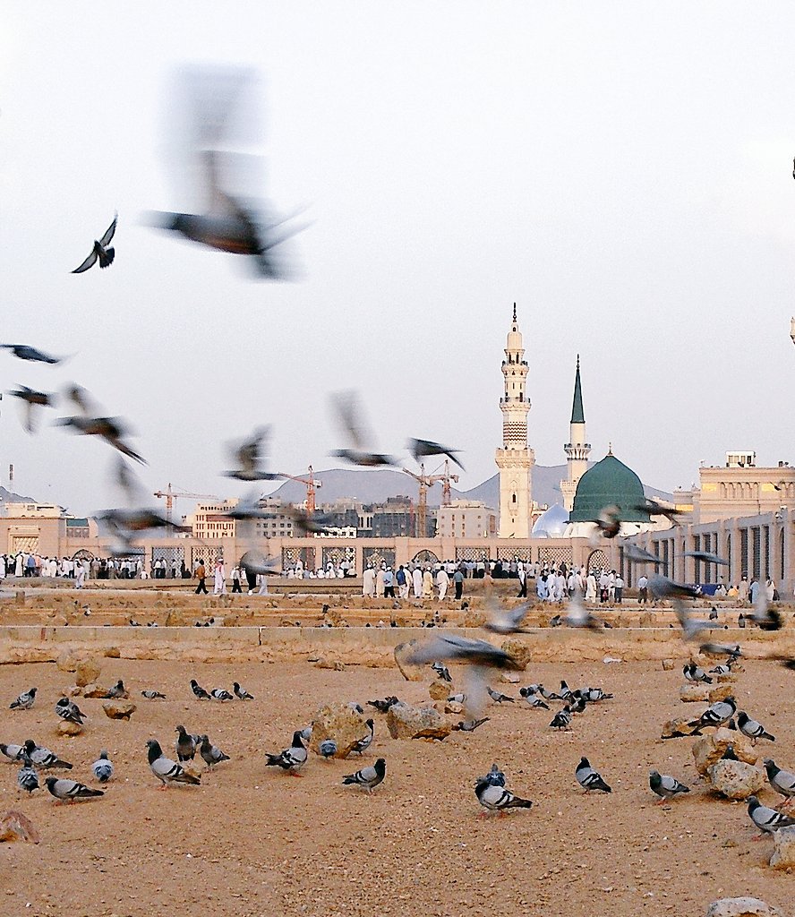 talalhakeem1's tweet photo. ☆♡أمواتنا لانبكيكم  إعتراضا فكل نفس ذائقة الموت لكن نبكيكم فقدا وإشتياقا فيارب أنر قبورهم وأرحمهم يا أرحم الراحمين♡☆ https://t.co/xGitb8fEnA