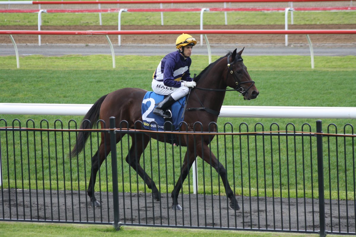 First Light Racing tweet media