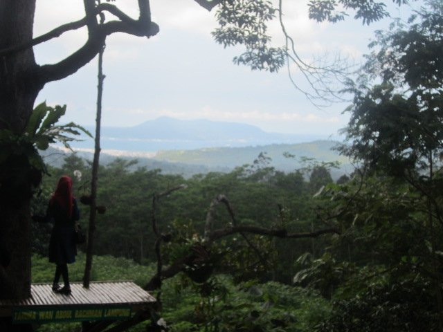 tria_05's tweet photo. @rumahpohon kemiling, bandar lampung https://t.co/rjTIjyFRrZ
