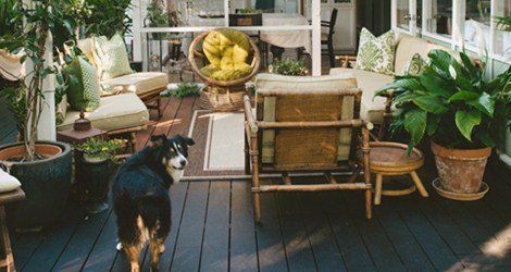 Zitradesdirect's tweet image. #Partystringlights 6 GREEN INSPIRE ROOMS

bit.ly/29SwxS3