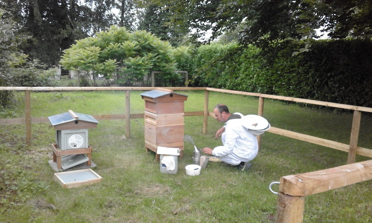 Mandarines tweet media