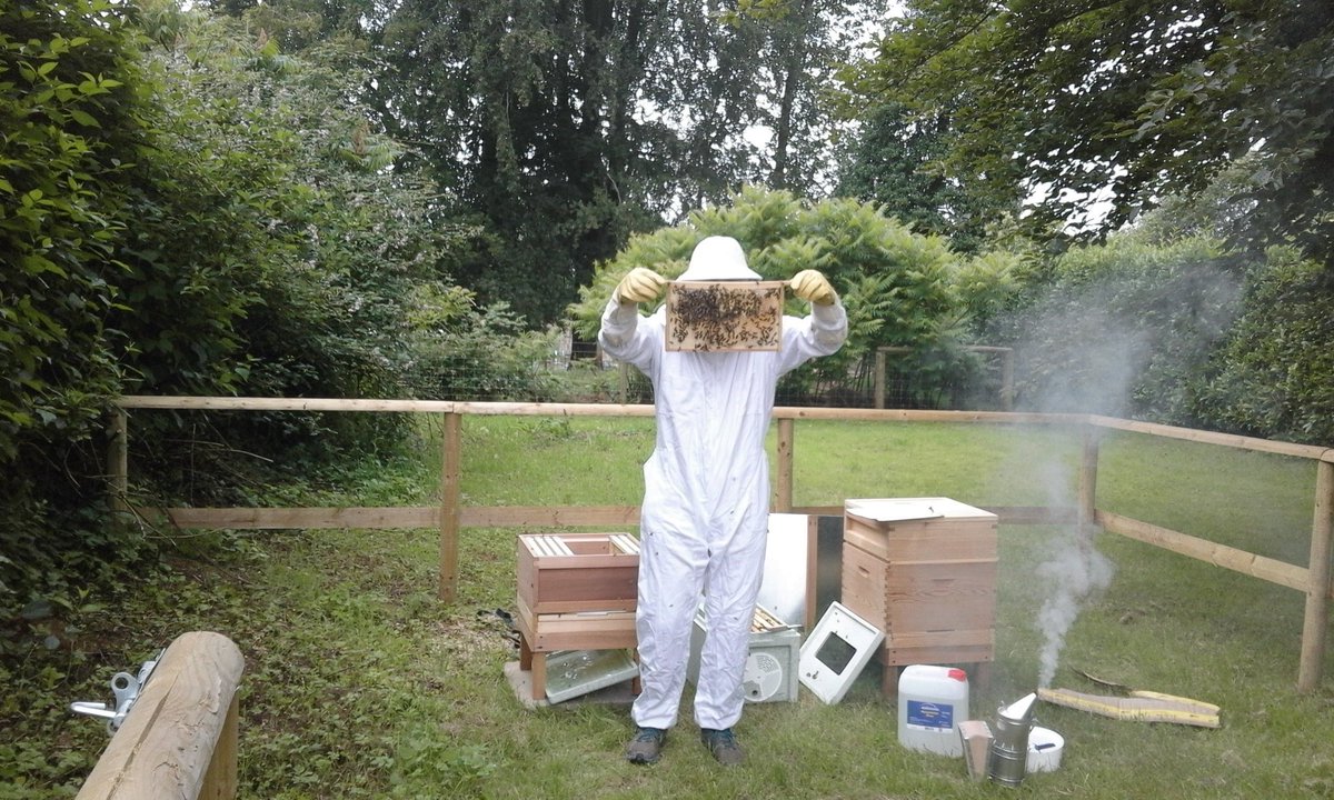 Mandarines tweet media