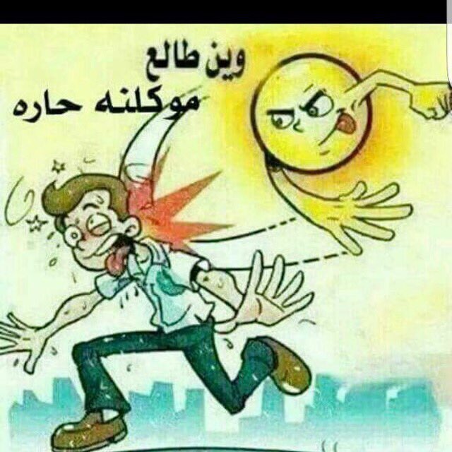 الصحفي (@tahsenalbasrawy) on Twitter photo 