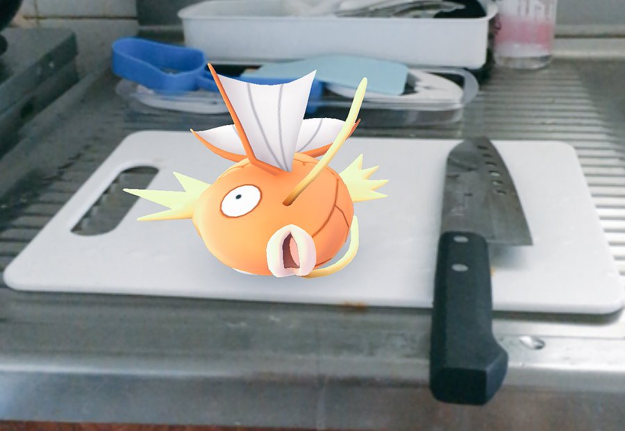 ポケモンgoでポケモントレーナーがポケモンをゲットした爆笑ショット8選 Foundia ファウンディア