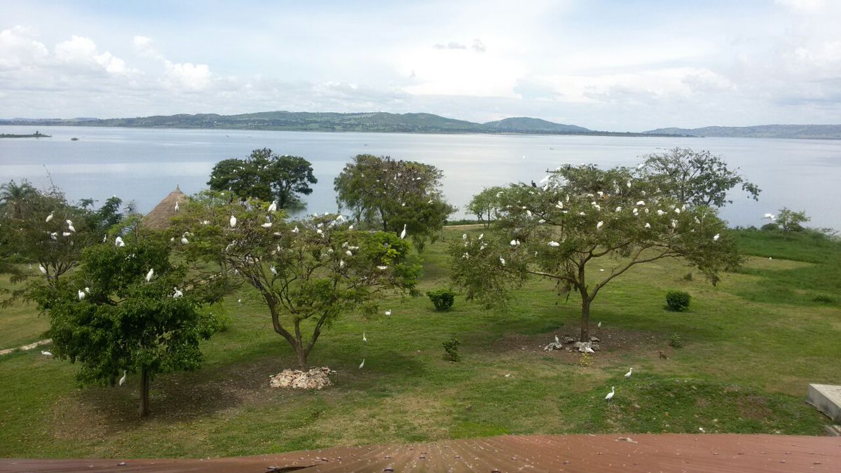 Can you see a serene island in the middle of a stormy Lake? #Bookings: samukaislandretreat.com/BOOKING.html