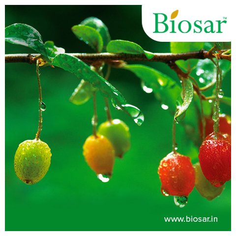 Biosar_IN's tweet photo. Increase our farm's productivity dramatically with #Biosar's #organic #manure. Visit us at https://t.co/ujwzjEzP4G https://t.co/q5wGXSJAn1
