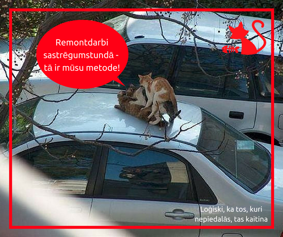 skakupunkts's tweet photo. Remontdarbi Rīgas ielās. #UšakovaLoģika https://t.co/gqC79RgC2F