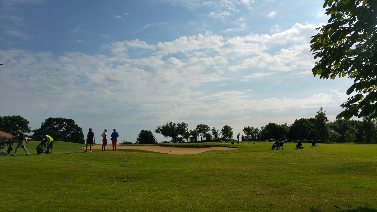 Ingenium Golf tweet media