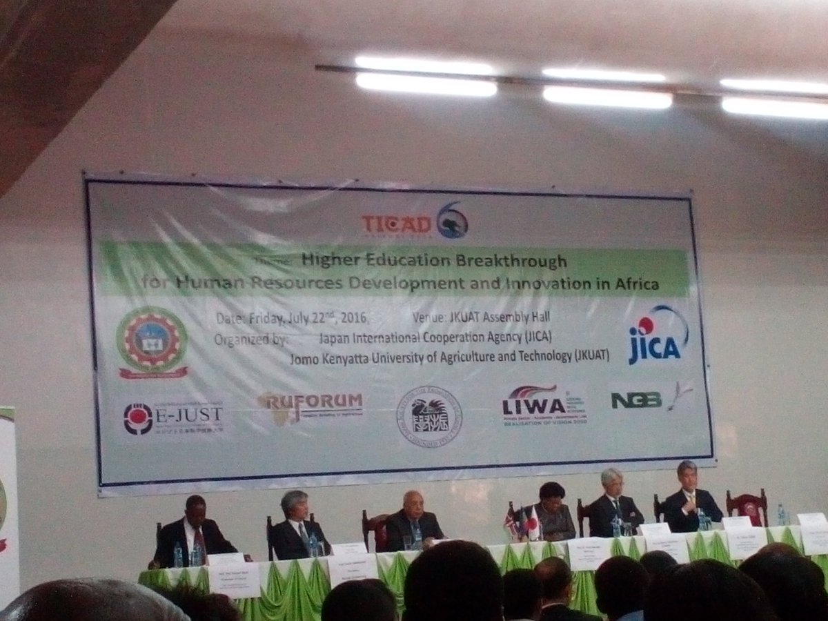 Discussing development of human resources for Africa