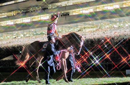 突然 #オルフェーヴル引退式 #泣くなッてのが無理