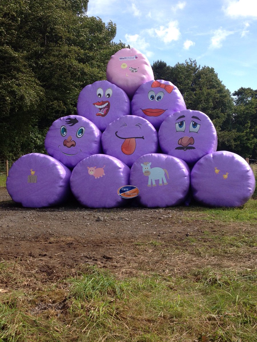 Spotted at Allendale, BaleyMcBaleface for #wellchild charity, made me smile, well done! <a href="/CarrsBillington/">Carr's Billington</a>