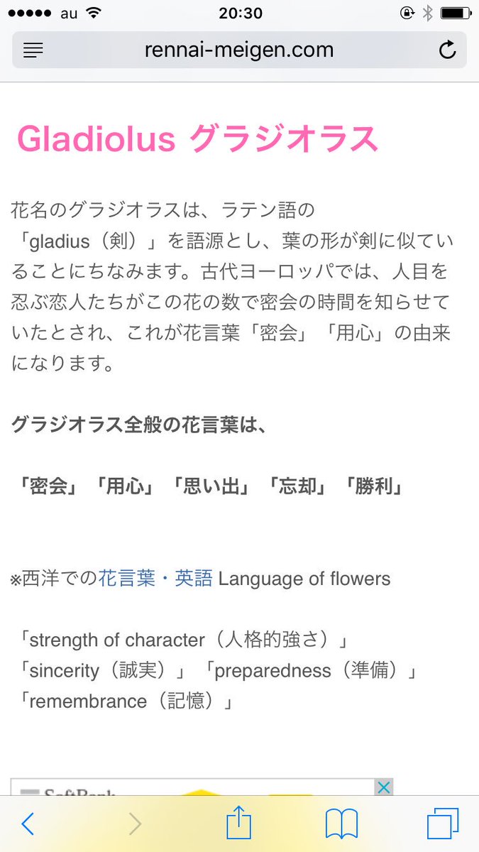 光のアイゼン サイゲ垢 A Twitter ジオラの名前の元ネタであるグラジオラスの花言葉は妙に隠秘的