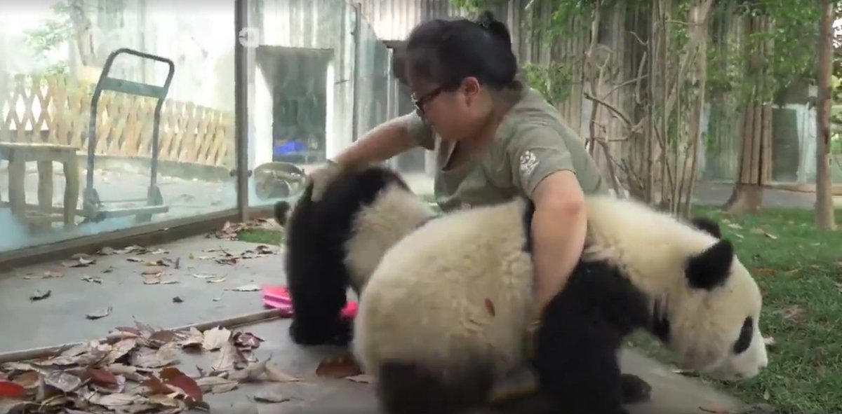 CMDSapp's tweet image. Does you feel like this because of credit card and personal debt? - ow.ly/8d3j3029vmr

changemyfortunes.com.au