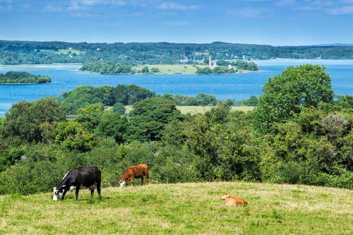 VisitClare tweet media