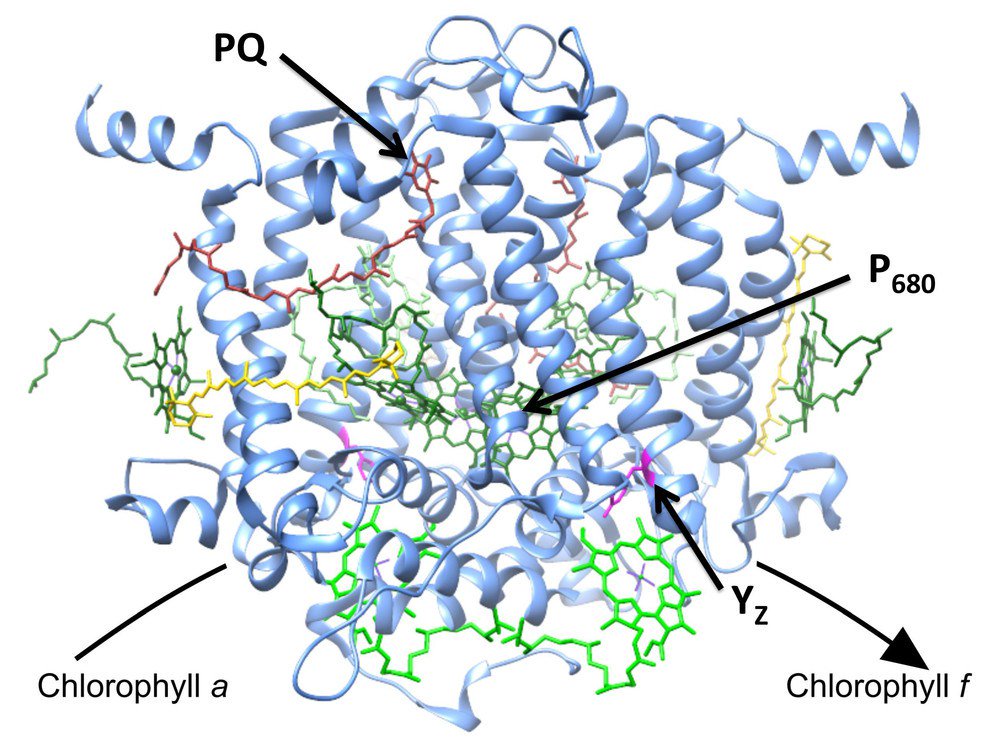 Biotech_rus tweet picture