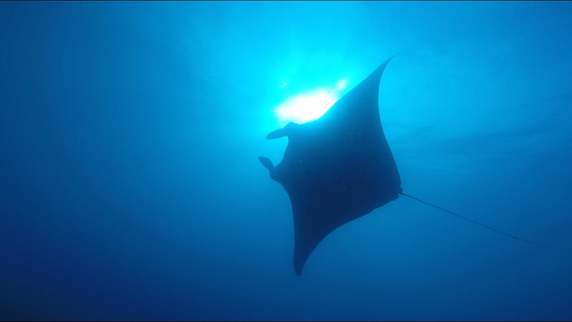 bex_2b's tweet image. Another day at work on the #newhorizon ....@manager_blue