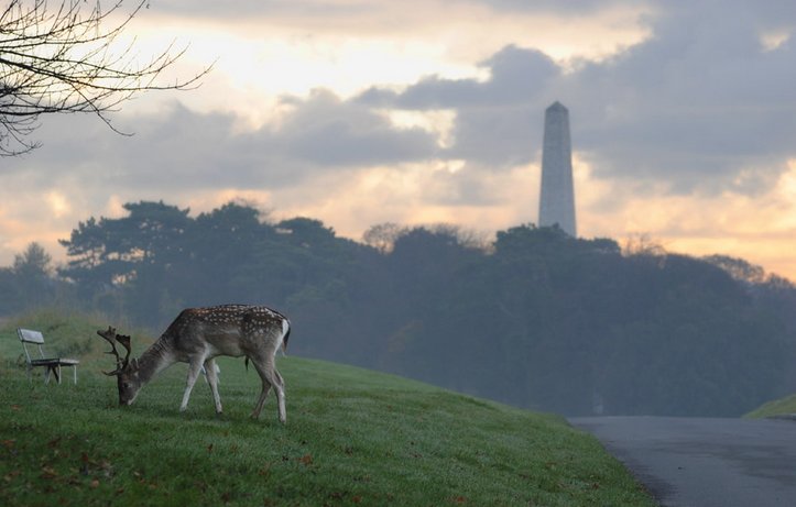 A city that always has something to discover. Here's 10 things you didn't know about Dublin! fal.cn/dublin