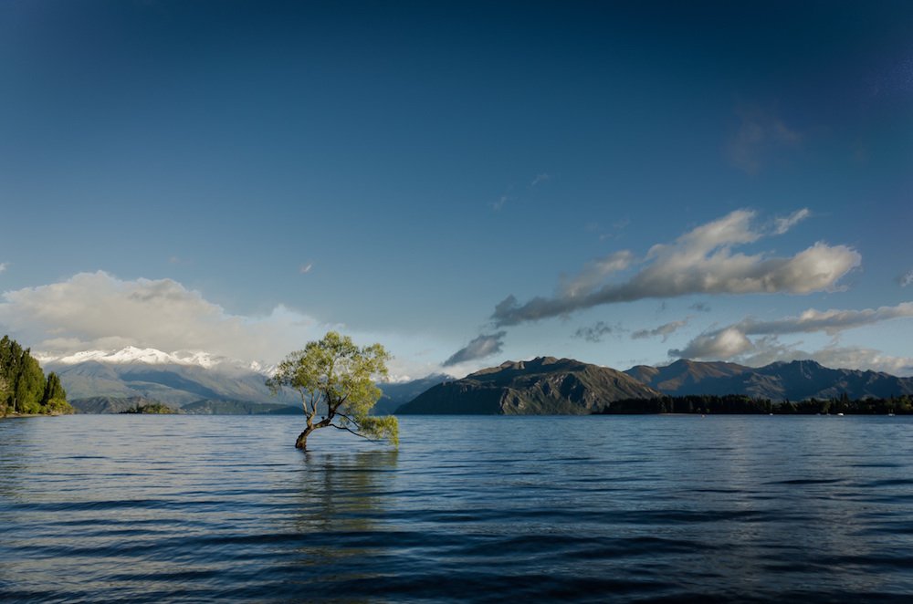 ClimateReality tweet picture