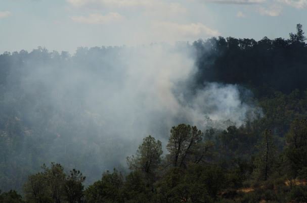 CAL_FIRE's tweet photo. #FiddlerFire [update] Igo (Shasta County) remains at 431 acres and 50% contained. https://t.co/KSCfGF0Rt4 https://t.co/6TCDtBQPRD
