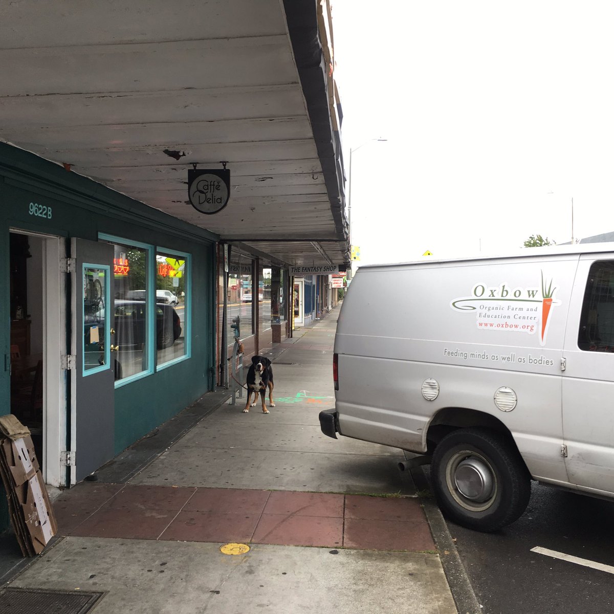 Hey Oxbow CSA folks,

Nellie says that your Veggie boxes have arrived.

(And look pretty tasty even tho no bones)