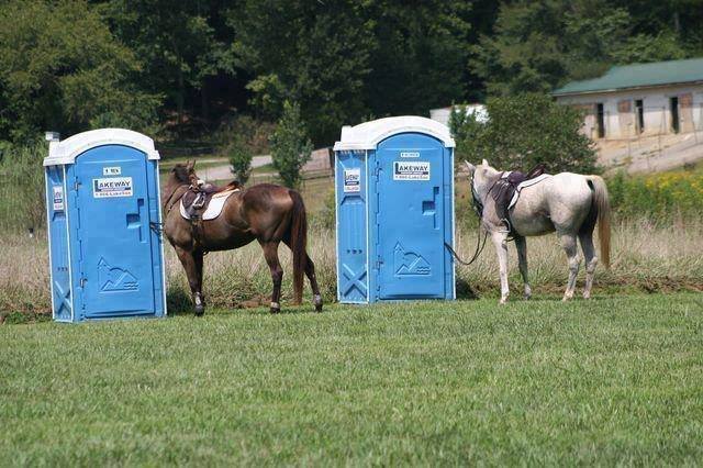 vitaflex's tweet photo. Horse show season is in full swing! Have you captured any #HorseShowProblems?
Image from: https://t.co/2KF0ytisOk https://t.co/ydWFNMTRnq