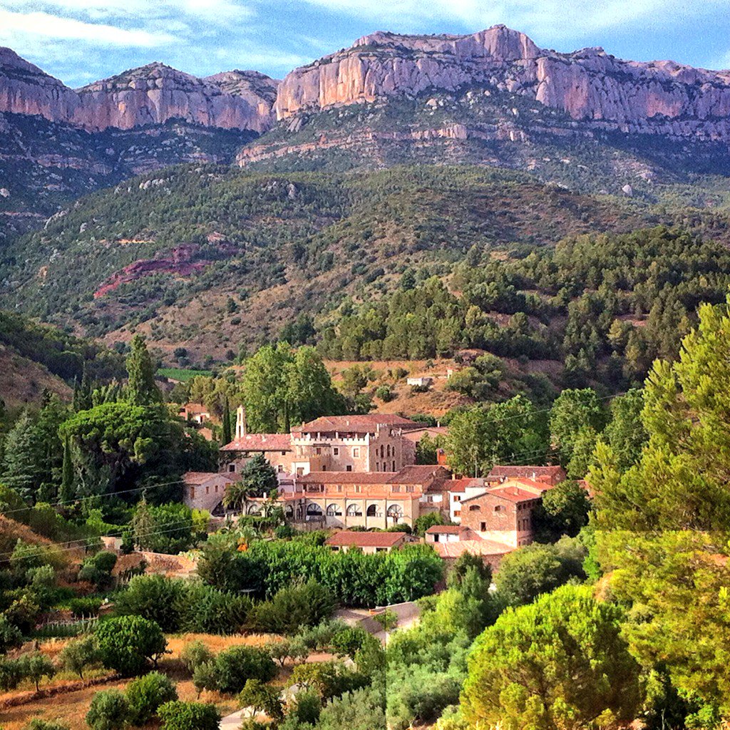 The Carthusians fostered the expansion of viticulture &amp; discovered the excellent qualities of the area for🍷making.