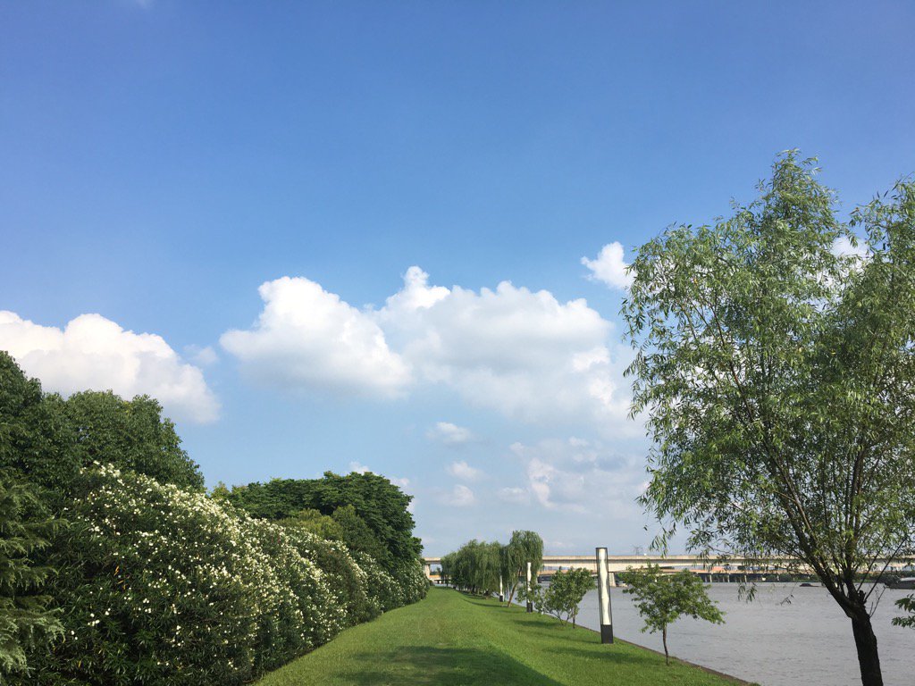 JustinLSH's tweet image. 台风蓝