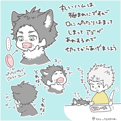丸ハム VS 猫 あるある 