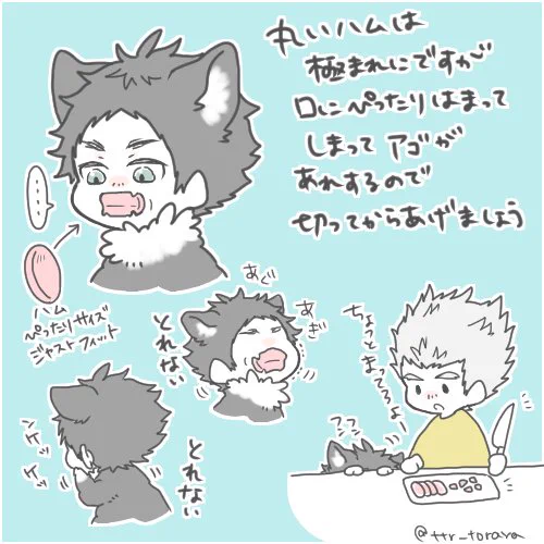 丸ハム VS 猫 あるある 