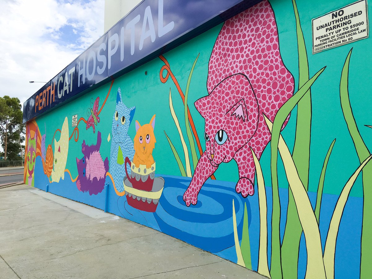 Chompchompcomau's tweet photo. @Life_of_Pia yup that's us! It's called #PerthCatHospital https://t.co/hrKmOsrwnf