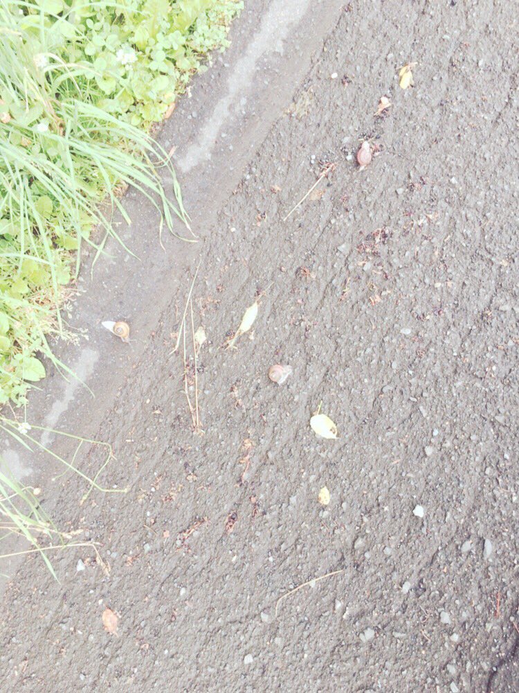 renyu22j3's tweet photo. 体力カタツムリ🐌 https://t.co/Usnq7u9Xne