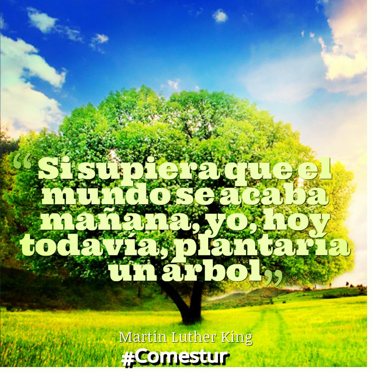 COMESTUR's tweet photo. Buen día! Que tu actitud ante la vida te defina. Feliz Domingo. #Comestur #FundaciónComestur #RD #MedioAmbiente. https://t.co/A9AozMJTww