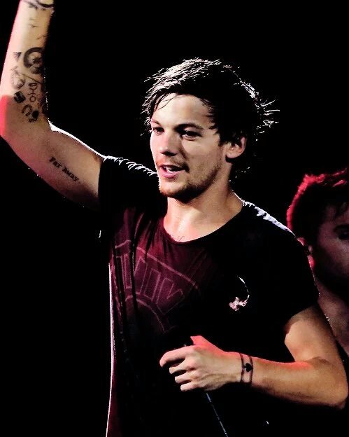 "Mi profesor de Geografia me dijo que jamas lograría nada" 
#SixYearsSinceLouisAudition
#RespectLouis

-CT♡