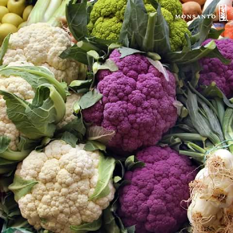 Did you know that cauliflower comes in 4 different colors, white being the most popular!
#BalancedPlate