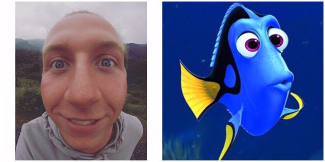 JamieAaron's tweet photo. Uncanny resemblance.. 

Just keep swimming 🐠 https://t.co/JLNUJwQQ8X