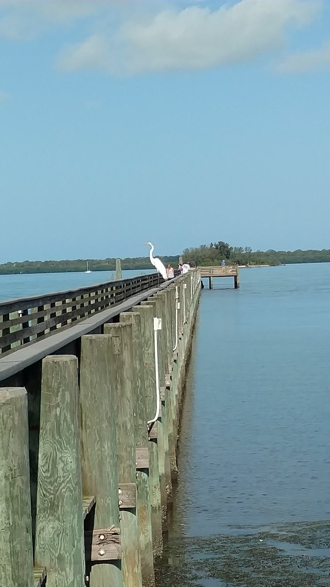 CynthiaZygadlo's tweet photo. Another walk, another dock.  Can't complain abt the view. #steps #pdrSC #wellness @pdrcpas https://t.co/4K618YcTFW