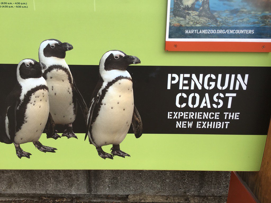 Looking forward to our encounter later today #WattleON