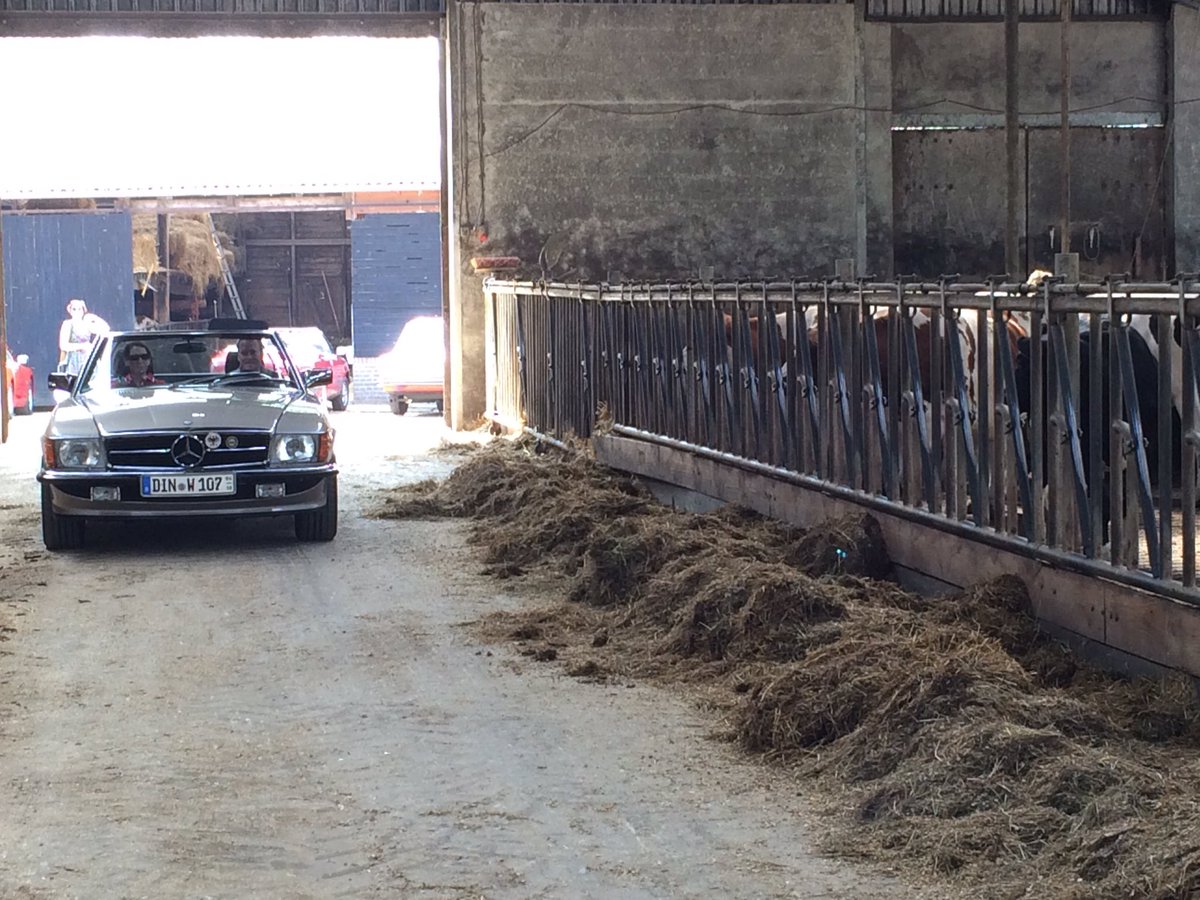 SuzanneRuesink's tweet photo. Today not only cows in the shet. #oldtimertour https://t.co/FAwMP3bAT3