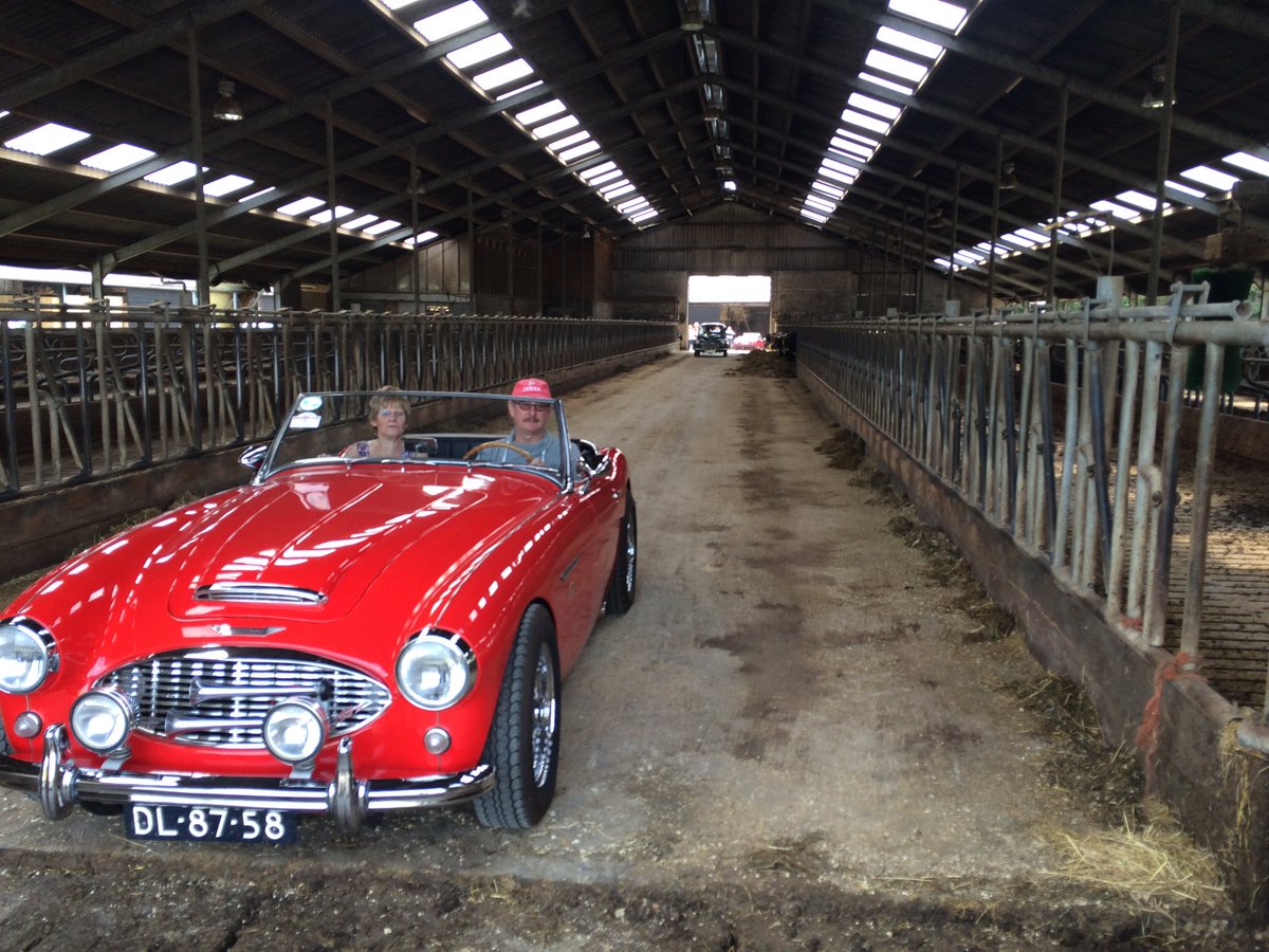 SuzanneRuesink's tweet photo. Today not only cows in the shet. #oldtimertour https://t.co/FAwMP3bAT3