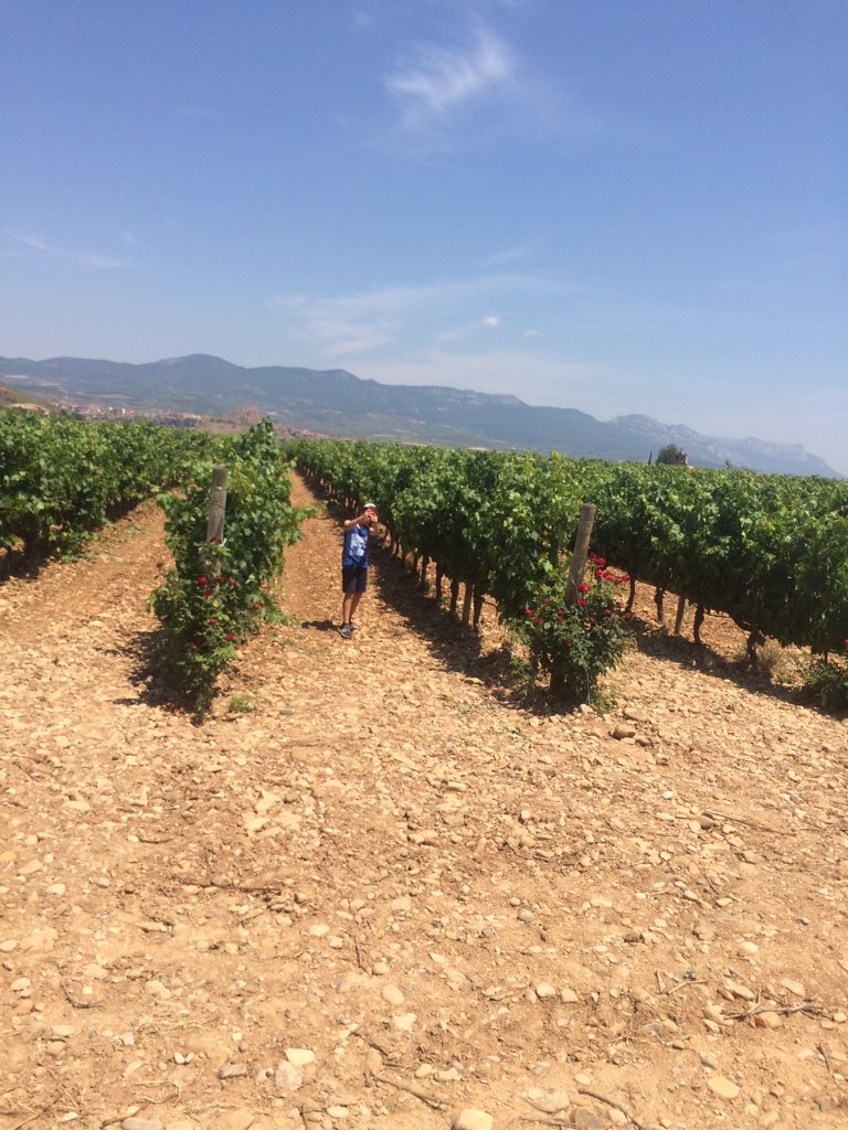 Peter_Markussen's tweet photo. Rioja - as beautiful as it tastes https://t.co/2cSEF4IYri