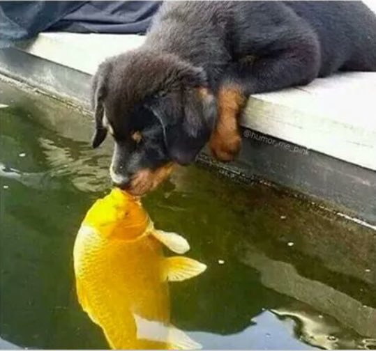 VidElite_'s tweet photo. Quand tu sais que votre amour est impossible mais tu continues de la voir https://t.co/OZzUALD6gU