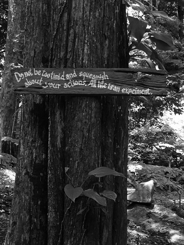 ninalevent's tweet photo. Found this scripture quote walking on a path at a forest monastery in #NorthernThailand. #Buddhism #meditation https://t.co/HuCaCVl3q1
