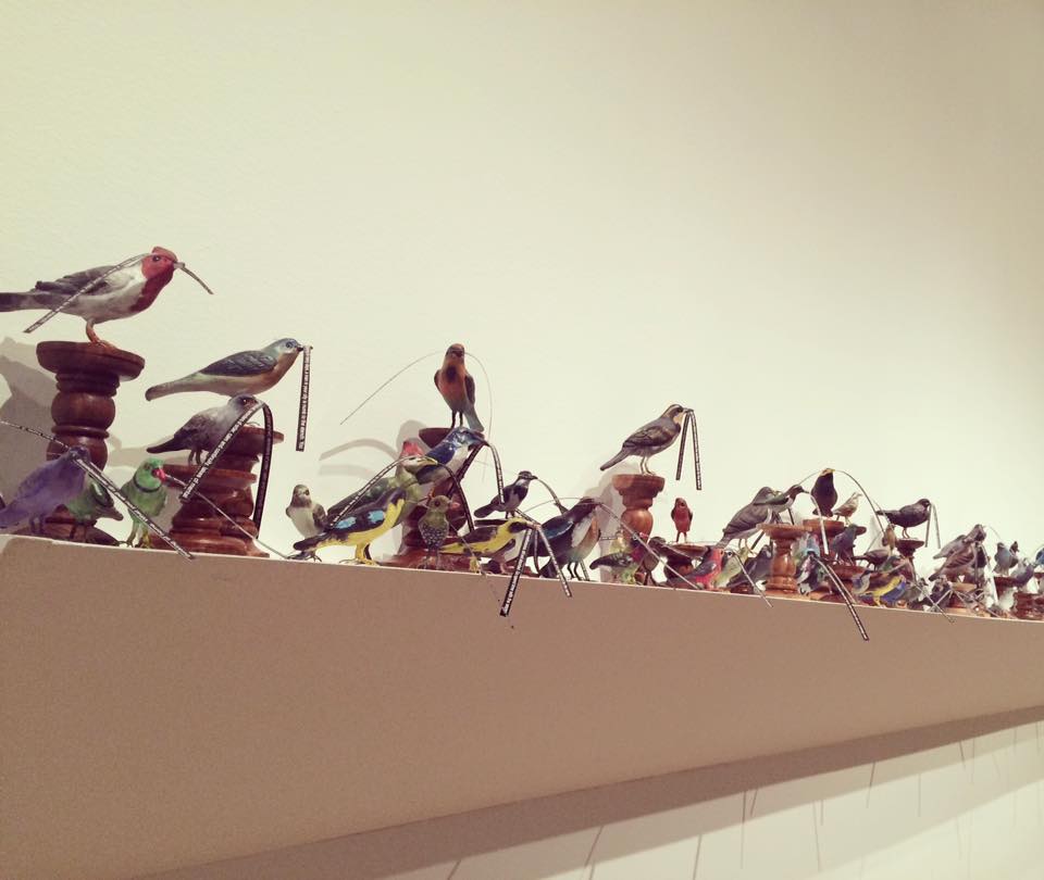 MariaVarelaM's tweet photo. Great exhibition at @mfaboston #mfaMEGA Last week!!! :) https://t.co/dDrXyHQuTh