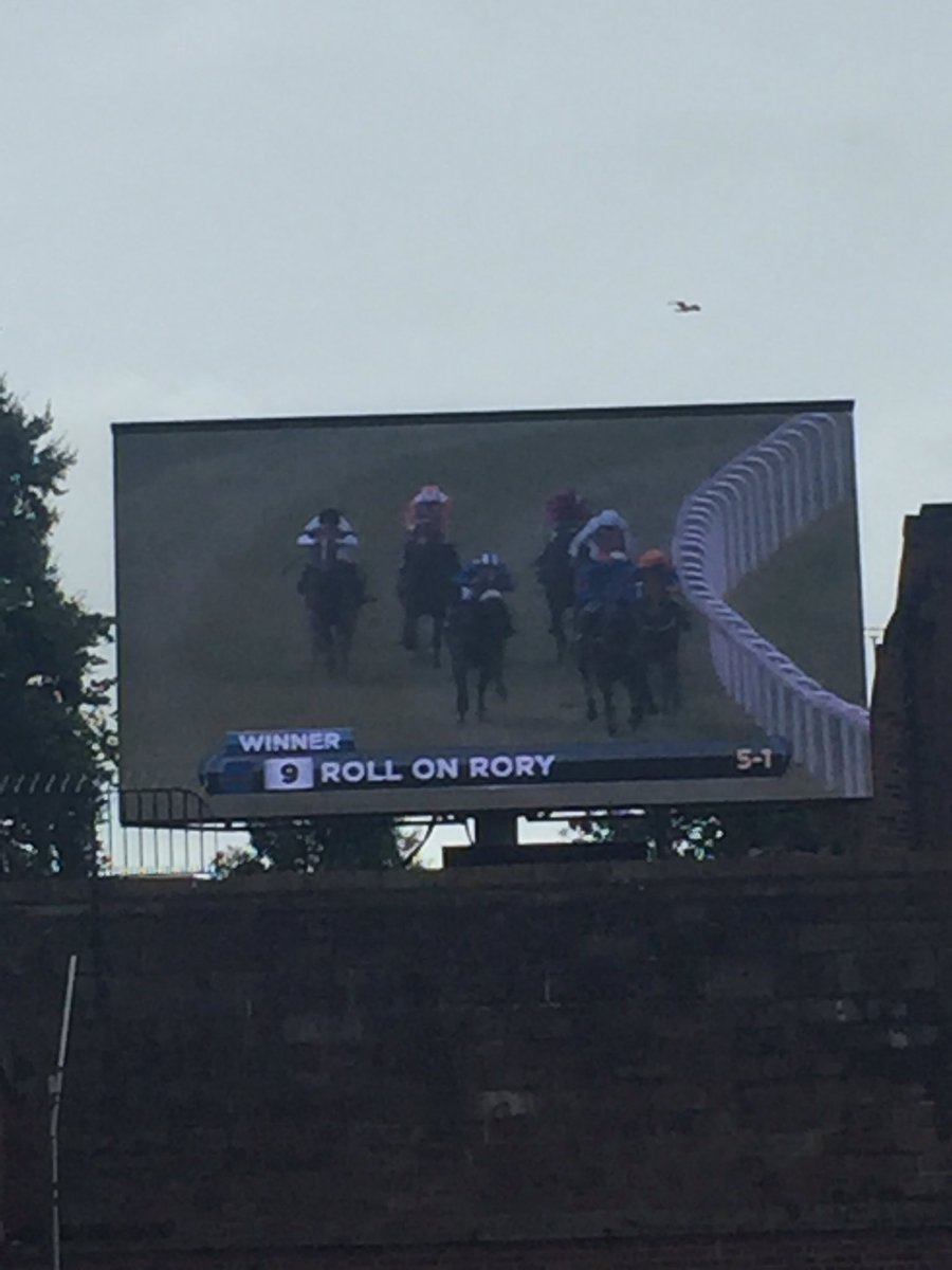 Ffion Mayles tweet media