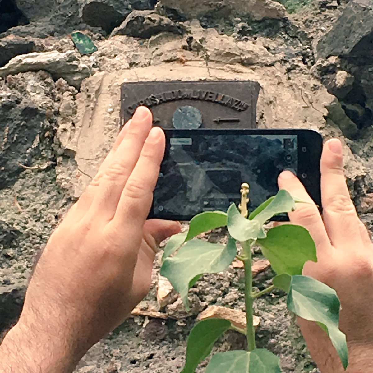 ArcheoArte3DLab's tweet photo. Appia antica: alle origini della rete geodetica italiana...ed è subito #ArcheoFOSS + #GFOSS! #MAppiaM #farOpen https://t.co/EZIEUEdhRX