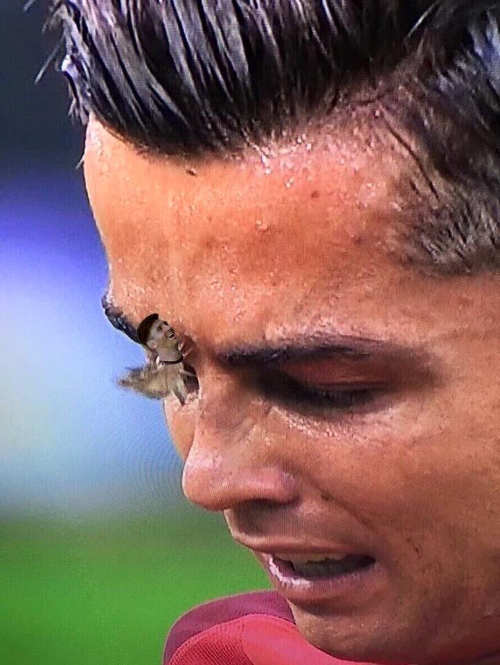 Mark Buchanan (@markbuchanan88) on Twitter photo 