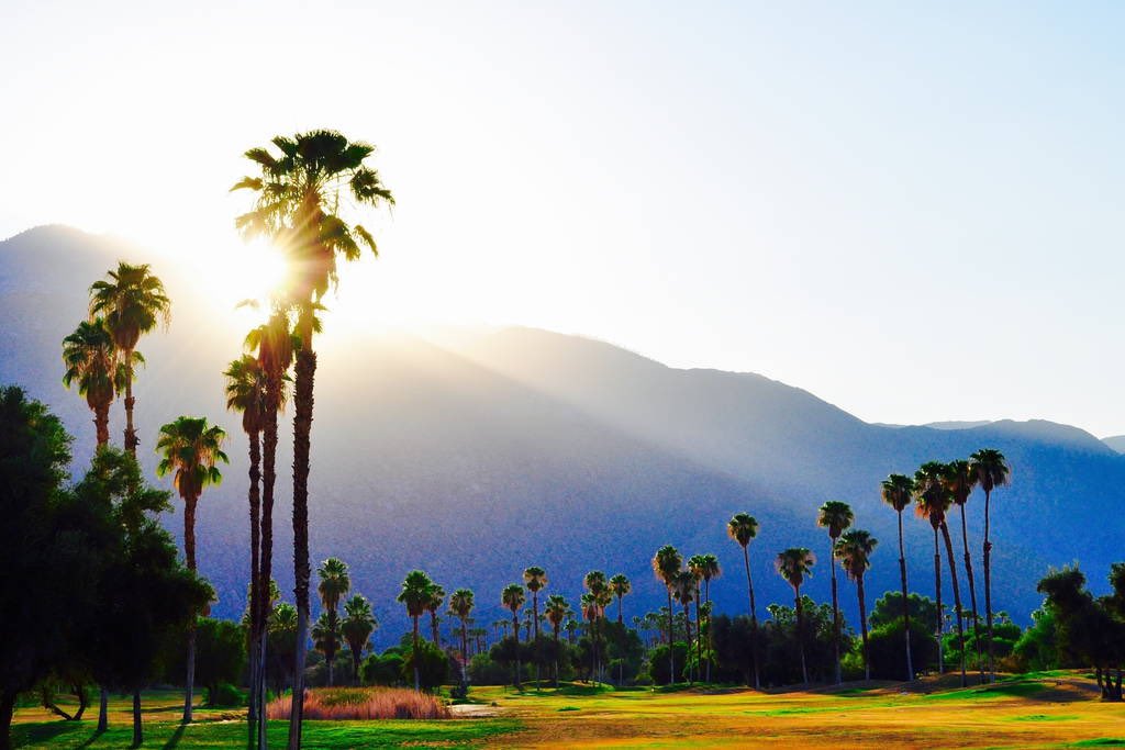 TedNguyen's tweet image. Love this two-bedroom vacation  condo with pools in #PalmSprings airbnb.com/rooms/7827483?… #Airbnb @SeePalmSprings