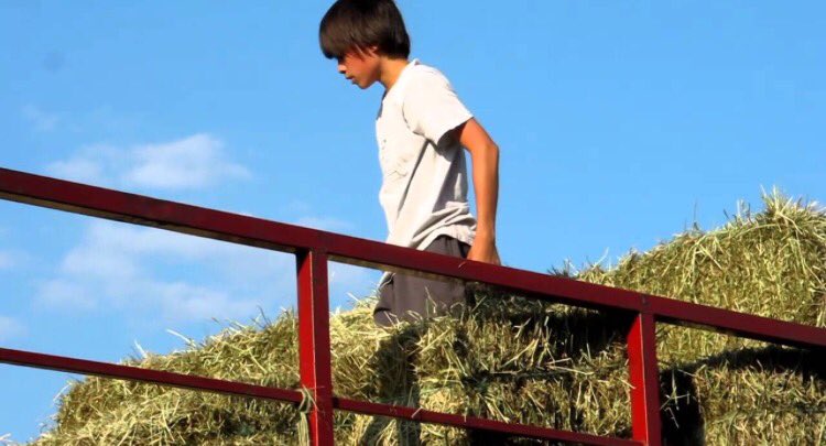 StockShowFlow's tweet image. Most teenagers this summer vs me