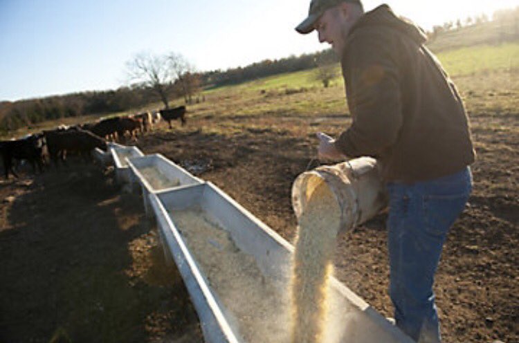 StockShowFlow's tweet image. Most teenagers this summer vs me